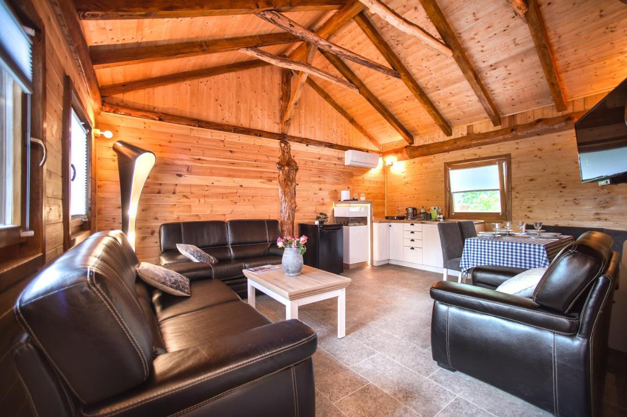 Brvnara Aurora Vista Villa Velika Remeta Екстериор снимка