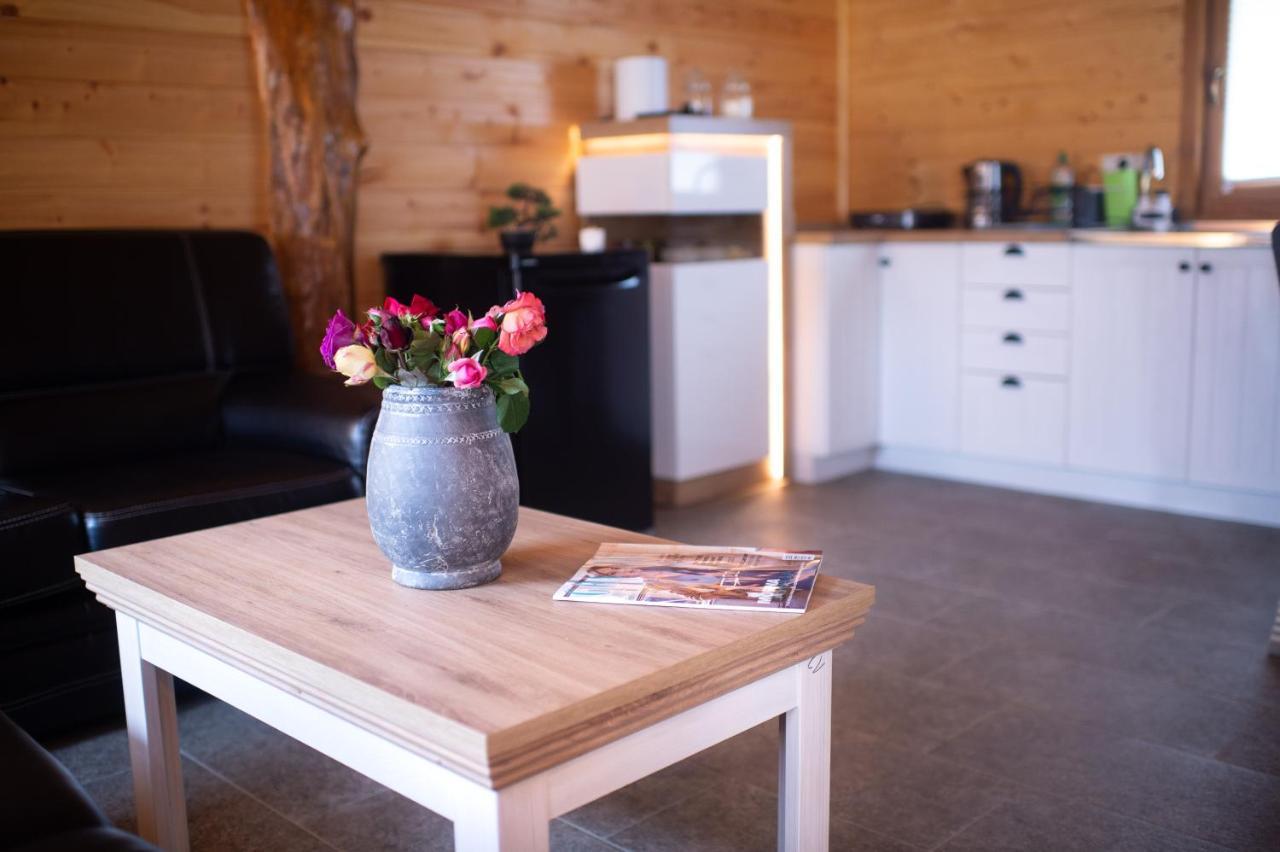 Brvnara Aurora Vista Villa Velika Remeta Екстериор снимка