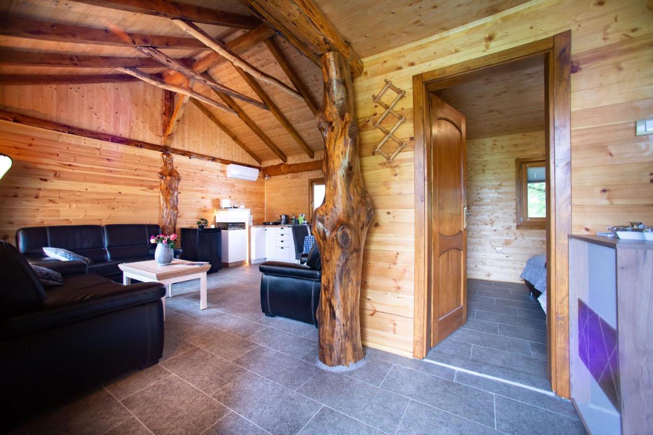 Brvnara Aurora Vista Villa Velika Remeta Екстериор снимка