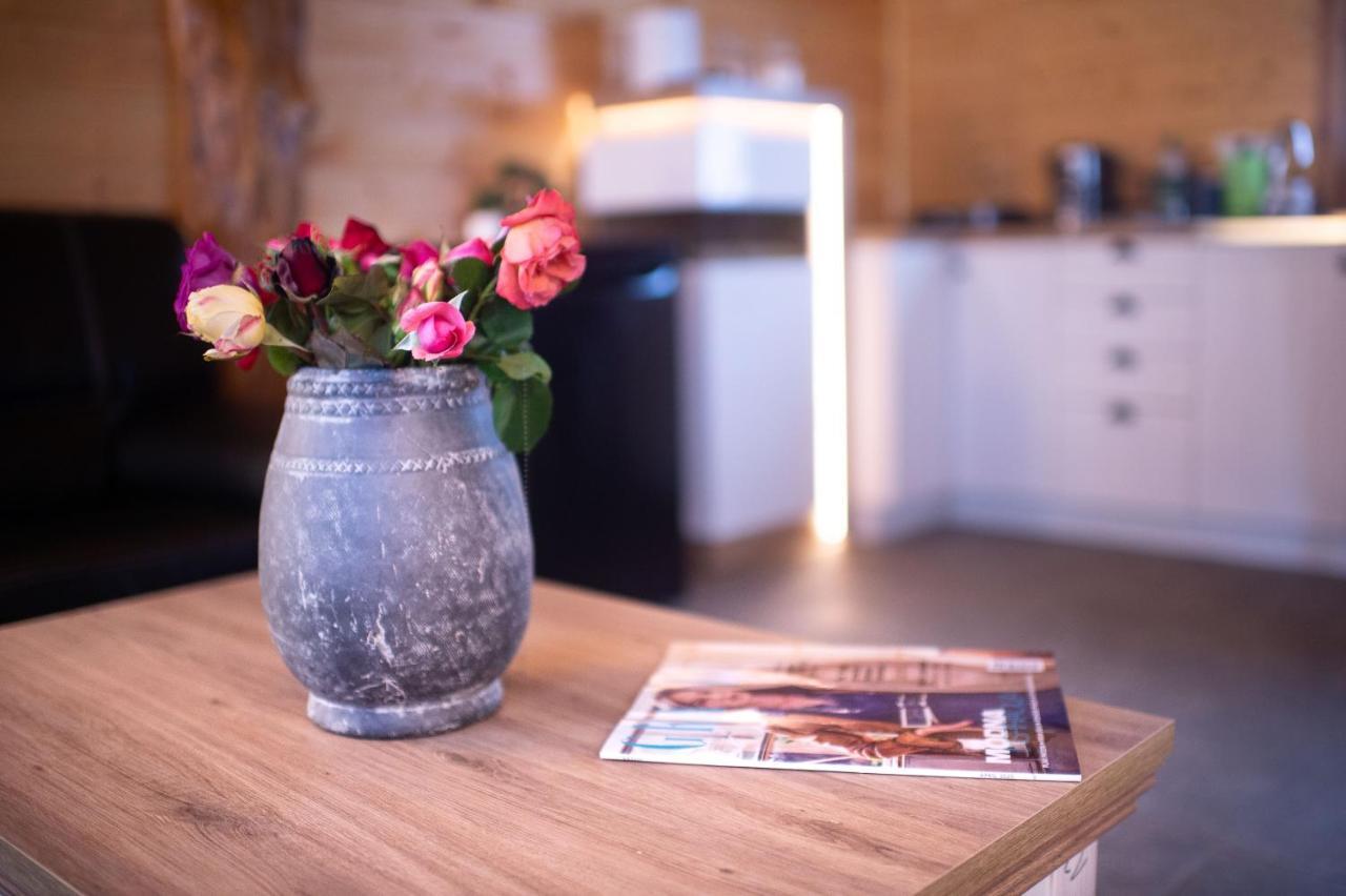 Brvnara Aurora Vista Villa Velika Remeta Екстериор снимка