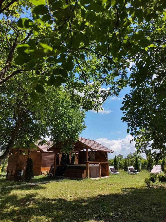 Brvnara Aurora Vista Villa Velika Remeta Екстериор снимка