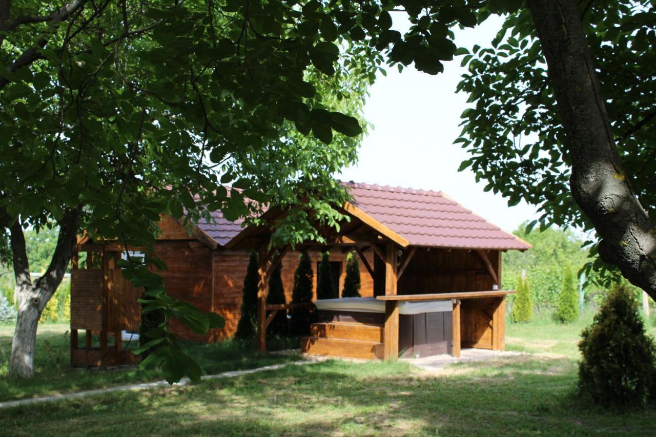 Brvnara Aurora Vista Villa Velika Remeta Екстериор снимка